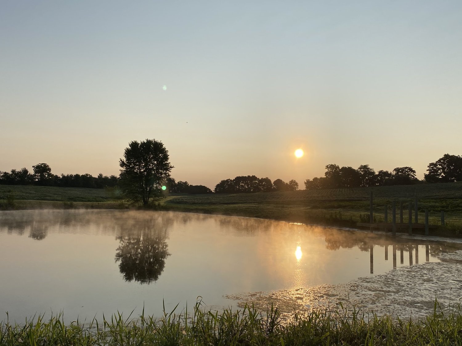 Sunrise over the pond at D&R Farm in Pleasureville