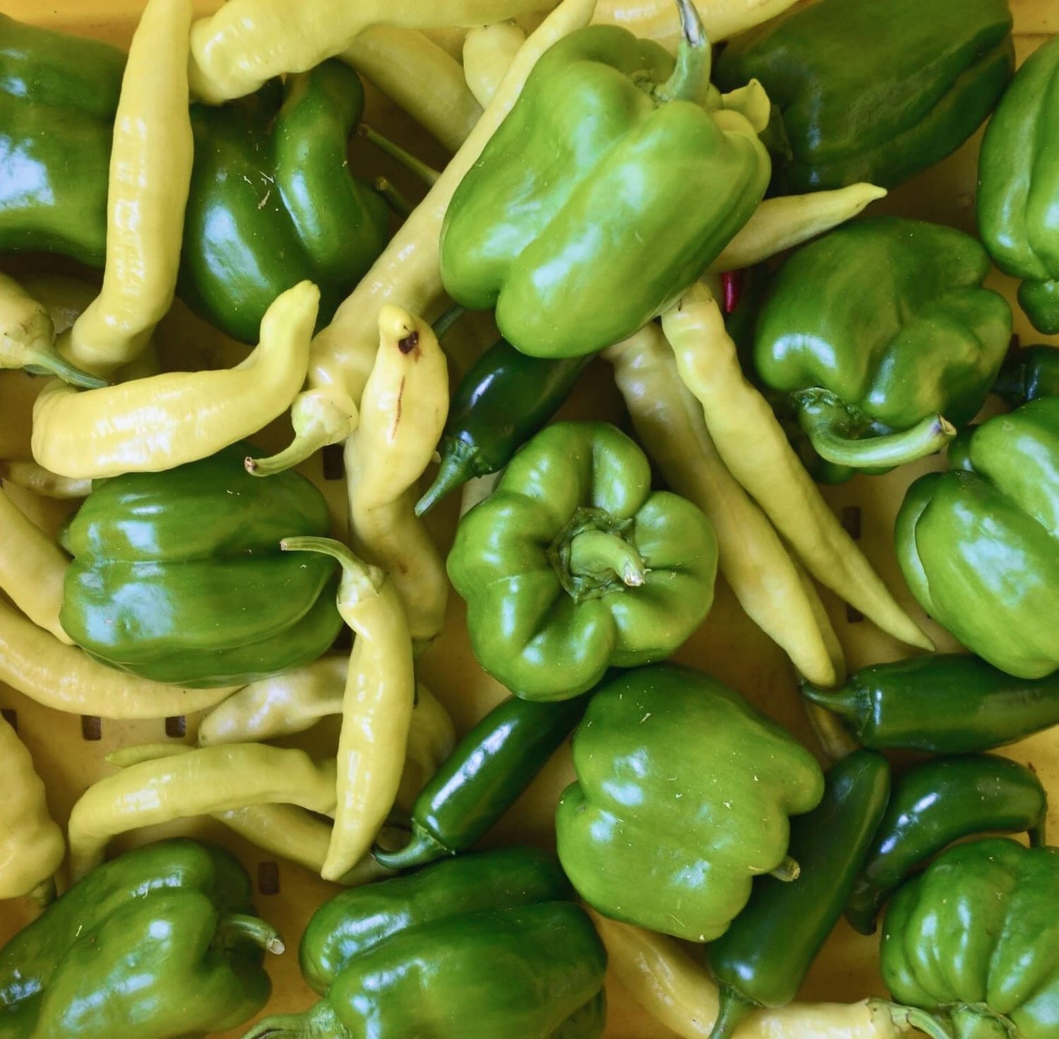 Green bell peppers and yellow banana peppers
