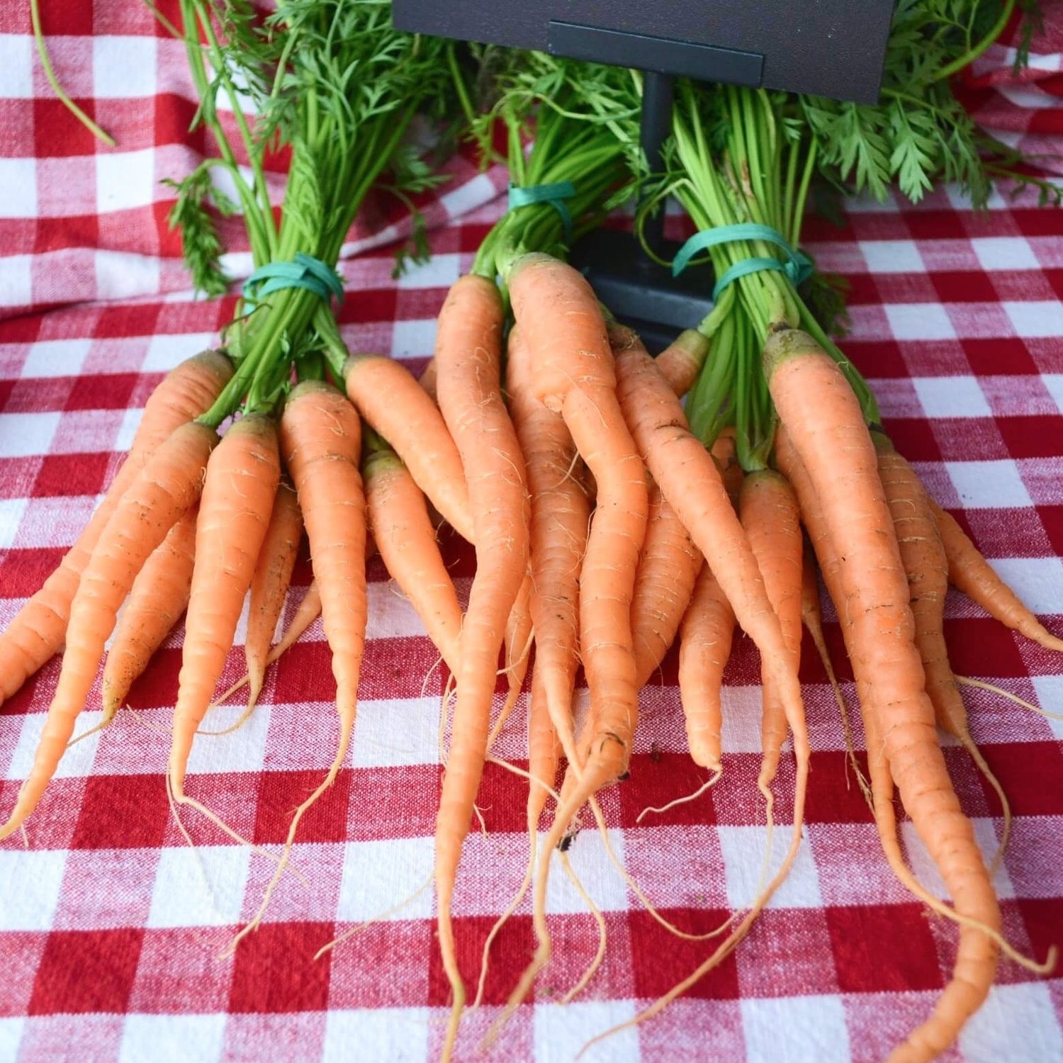 Bunches of fresh carrots on a red gingham tablecloth