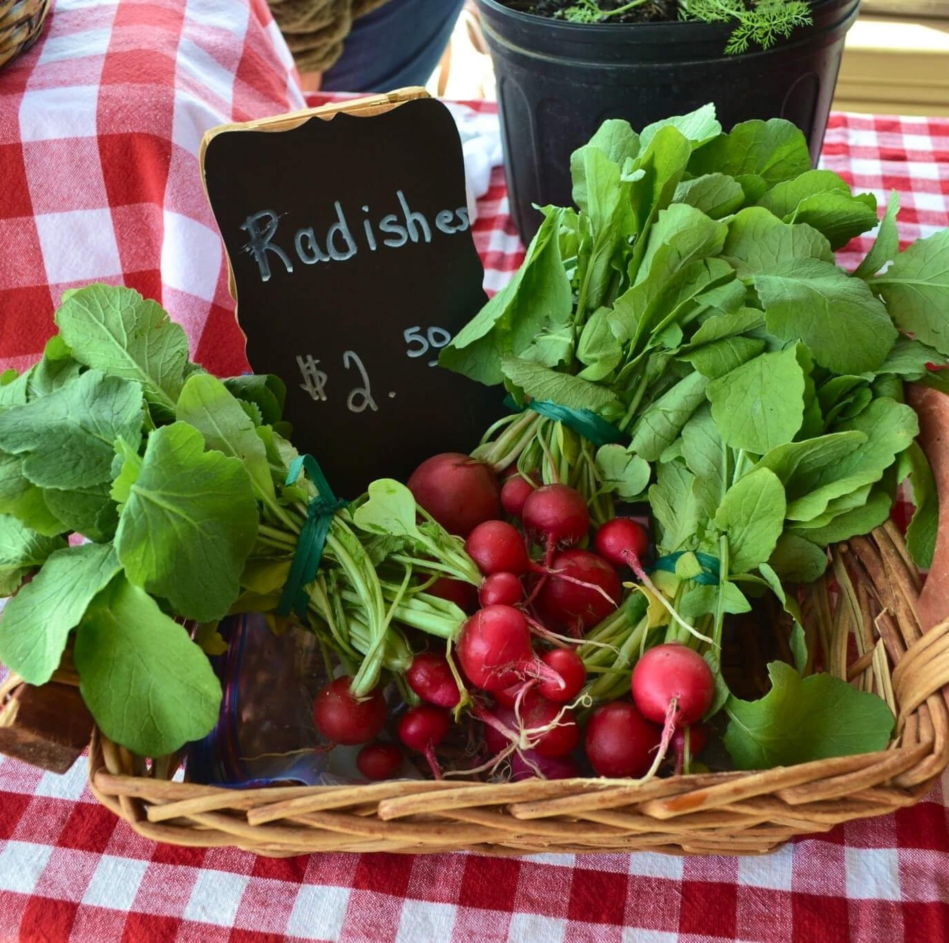 Radishes in a basket with a chalkboard price sign