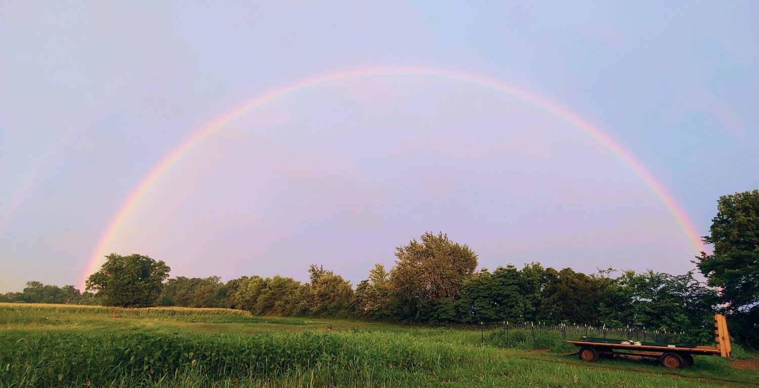 A rainbow over the fields at D&R Farm